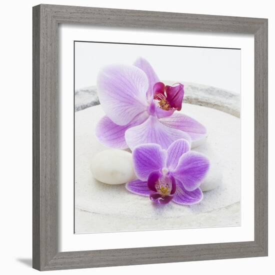 Orchid Blossoms on White Sand-Uwe Merkel-Framed Photographic Print