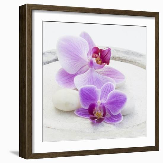 Orchid Blossoms on White Sand-Uwe Merkel-Framed Photographic Print