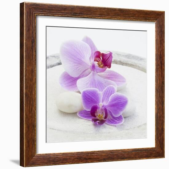 Orchid Blossoms on White Sand-Uwe Merkel-Framed Photographic Print