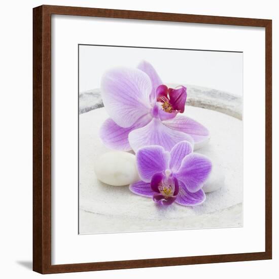 Orchid Blossoms on White Sand-Uwe Merkel-Framed Photographic Print