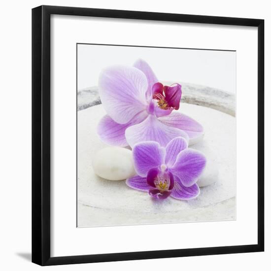 Orchid Blossoms on White Sand-Uwe Merkel-Framed Photographic Print