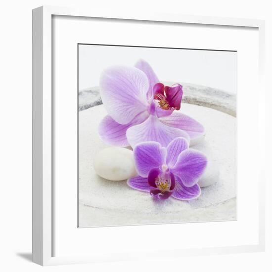 Orchid Blossoms on White Sand-Uwe Merkel-Framed Photographic Print