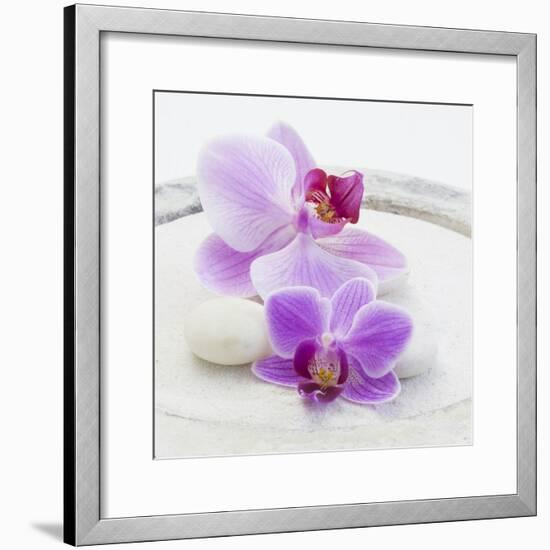 Orchid Blossoms on White Sand-Uwe Merkel-Framed Photographic Print