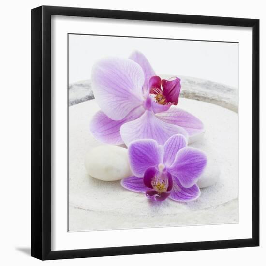 Orchid Blossoms on White Sand-Uwe Merkel-Framed Photographic Print