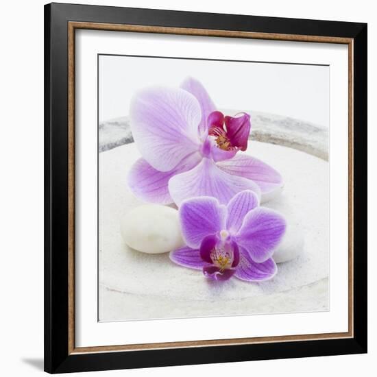 Orchid Blossoms on White Sand-Uwe Merkel-Framed Photographic Print