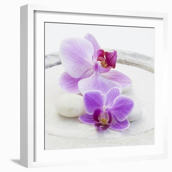 Orchid Blossoms on White Sand-Uwe Merkel-Framed Photographic Print