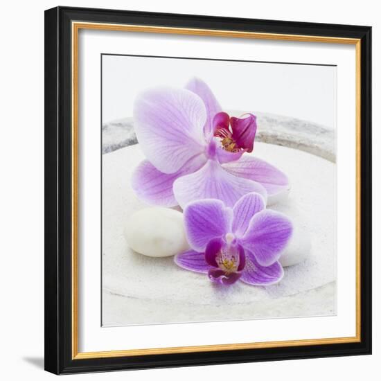 Orchid Blossoms on White Sand-Uwe Merkel-Framed Photographic Print