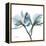 Orchid Blue-Albert Koetsier-Framed Stretched Canvas