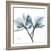 Orchid Blue-Albert Koetsier-Framed Art Print