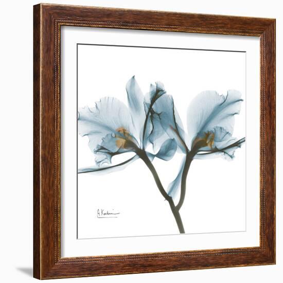 Orchid Blue-Albert Koetsier-Framed Art Print