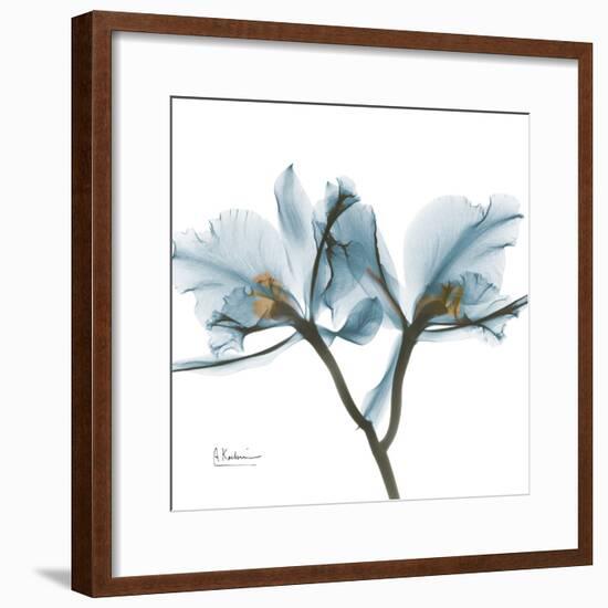 Orchid Blue-Albert Koetsier-Framed Art Print