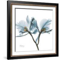 Orchid Blue-Albert Koetsier-Framed Art Print