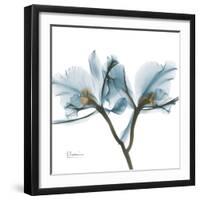 Orchid Blue-Albert Koetsier-Framed Art Print