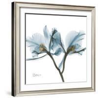 Orchid Blue-Albert Koetsier-Framed Art Print