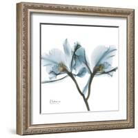 Orchid Blue-Albert Koetsier-Framed Art Print
