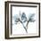 Orchid Blue-Albert Koetsier-Framed Art Print