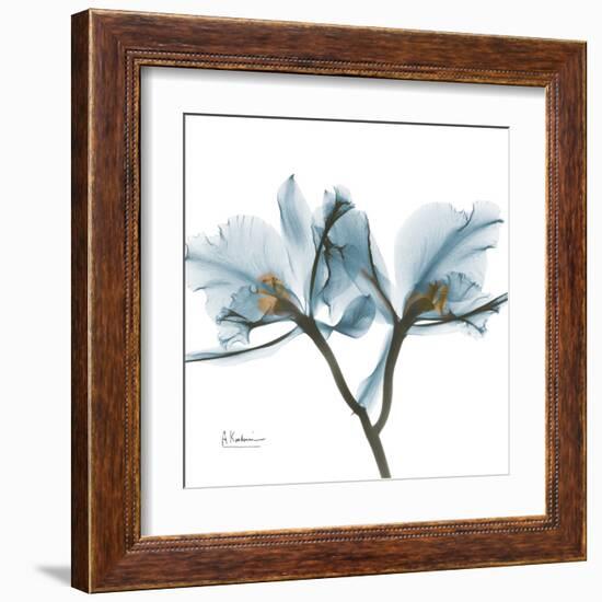 Orchid Blue-Albert Koetsier-Framed Art Print