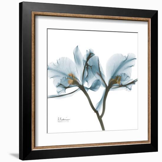 Orchid Blue-Albert Koetsier-Framed Art Print