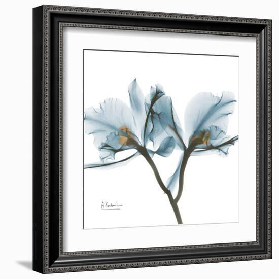 Orchid Blue-Albert Koetsier-Framed Art Print