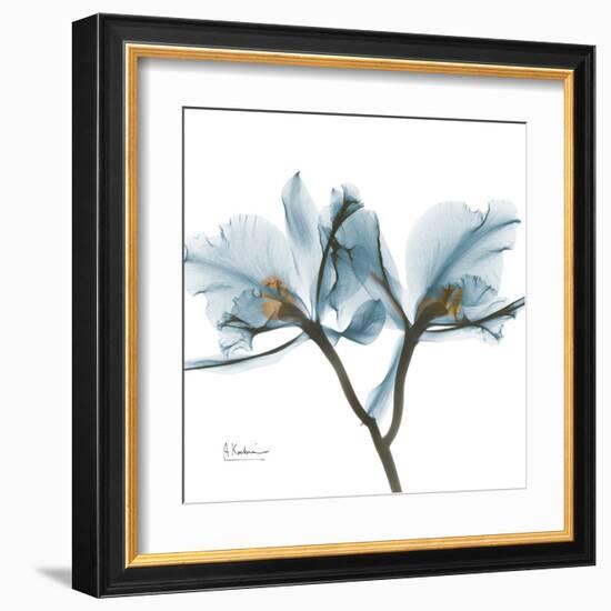 Orchid Blue-Albert Koetsier-Framed Art Print