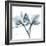 Orchid Blue-Albert Koetsier-Framed Premium Giclee Print