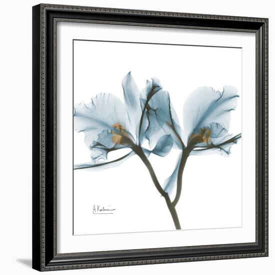 Orchid Blue-Albert Koetsier-Framed Premium Giclee Print