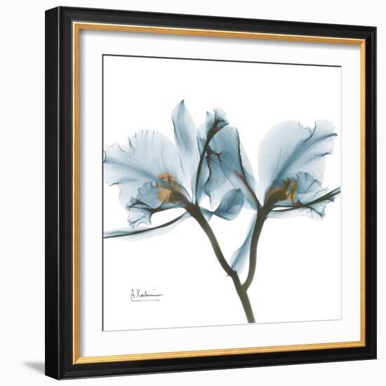 Orchid Blue-Albert Koetsier-Framed Premium Giclee Print