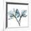 Orchid Blue-Albert Koetsier-Framed Giclee Print