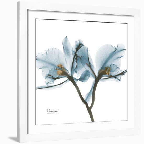 Orchid Blue-Albert Koetsier-Framed Giclee Print