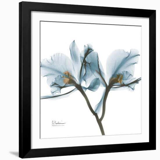 Orchid Blue-Albert Koetsier-Framed Giclee Print