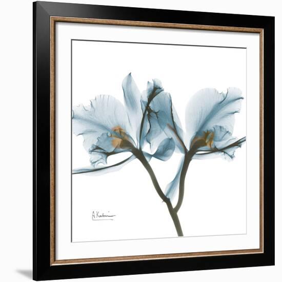 Orchid Blue-Albert Koetsier-Framed Giclee Print