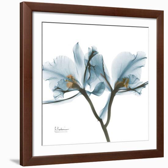 Orchid Blue-Albert Koetsier-Framed Giclee Print