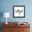 Orchid Blue-Albert Koetsier-Framed Giclee Print displayed on a wall