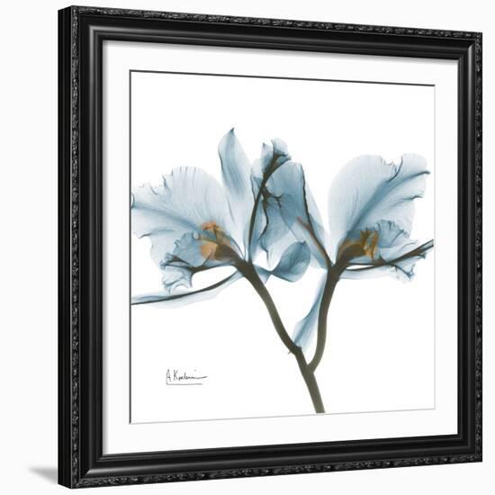 Orchid Blue-Albert Koetsier-Framed Giclee Print