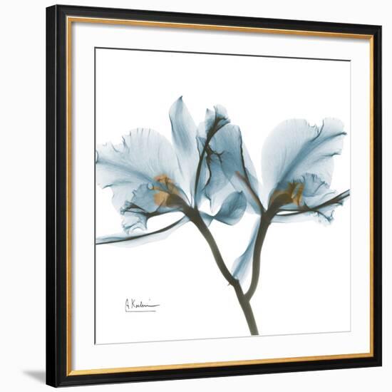 Orchid Blue-Albert Koetsier-Framed Giclee Print