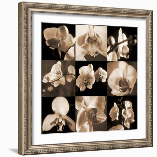 Orchid Bouquet-Caroline Kelly-Framed Photo