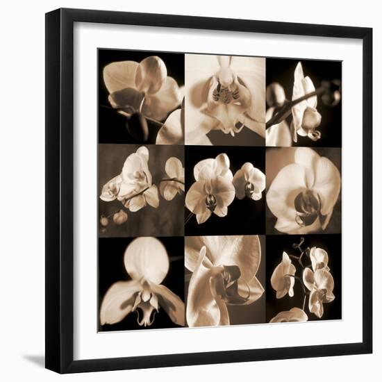 Orchid Bouquet-Caroline Kelly-Framed Photo