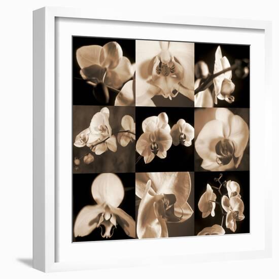 Orchid Bouquet-Caroline Kelly-Framed Photo