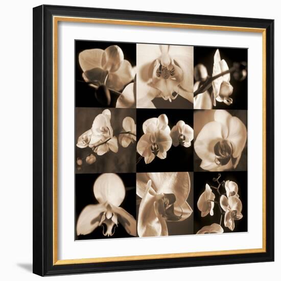 Orchid Bouquet-Caroline Kelly-Framed Photo