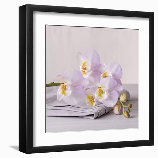 Orchid Calm-Assaf Frank-Framed Giclee Print