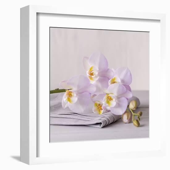 Orchid Calm-Assaf Frank-Framed Giclee Print