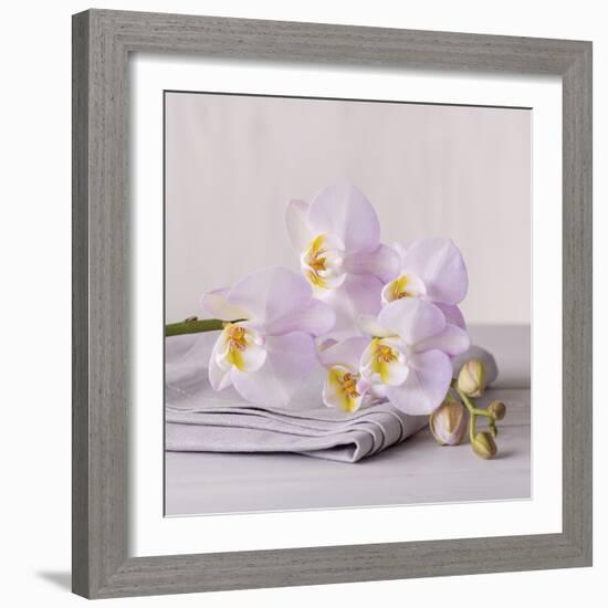 Orchid Calm-Assaf Frank-Framed Giclee Print