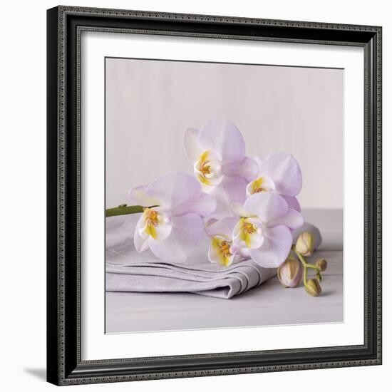 Orchid Calm-Assaf Frank-Framed Giclee Print