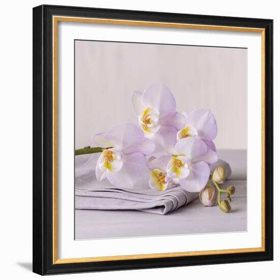 Orchid Calm-Assaf Frank-Framed Giclee Print