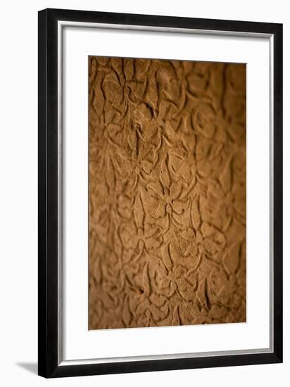 Orchid Carving I-Erin Berzel-Framed Photographic Print