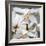 Orchid Closeup I-Nicole Katano-Framed Photo