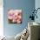 Orchid (Cymbidium Hybrid)-Maria Mosolova-Photographic Print displayed on a wall