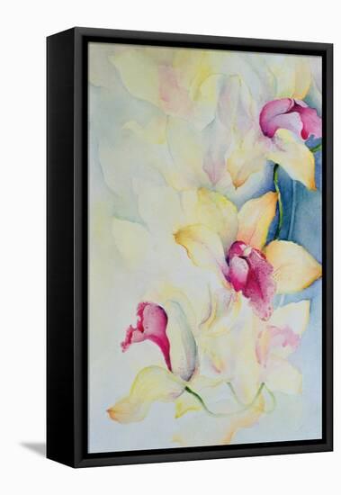 Orchid, Cymbidium, Prince Charles-Karen Armitage-Framed Premier Image Canvas