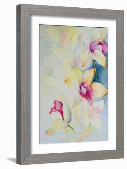 Orchid, Cymbidium, Prince Charles-Karen Armitage-Framed Giclee Print