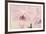 Orchid Dream-John Harper-Framed Giclee Print